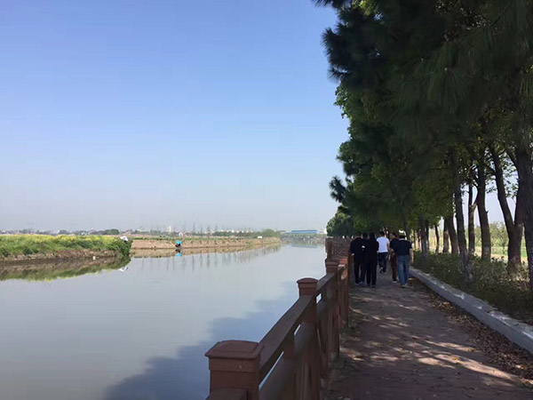 1498102438421774.jpg 17-4-16新塍绿路(5).jpg