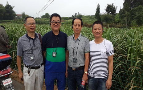 2014年8月，中国蔬菜流通协会会长戴中久与公司、市场领导一起考察蔬菜基地